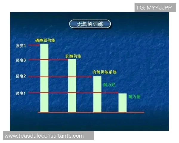 成都羽毛球队反击战术解析与实战应用探讨