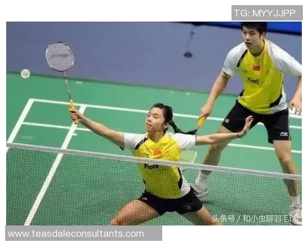 成都羽毛球队配合技巧分析与战术探讨的深入研究