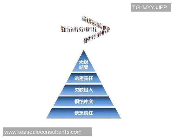 深圳排球队团队协作的成功秘诀与战术分析探讨