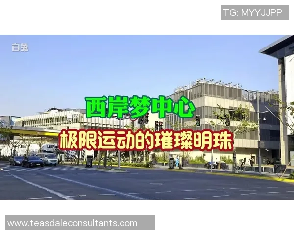 极限运动热点:解读上海极限运动队的运营